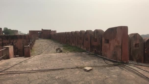 Джайпур, Индия - длинная укрепленная стена в старой крепости, часть 16 — стоковое видео