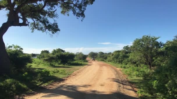 Yala, Sri Lanka, route et horizon avec nuages — Video