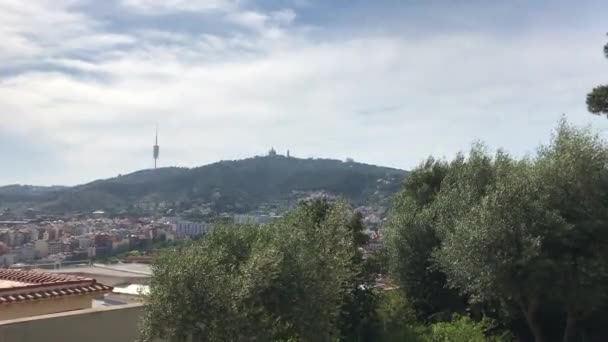 Barcelona, España. Un árbol con una montaña en el fondo — Vídeos de Stock