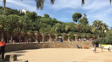 Barselona, İspanya. 20 Haziran 2019: Bir grup insan bir plajda palmiye ağacıyla