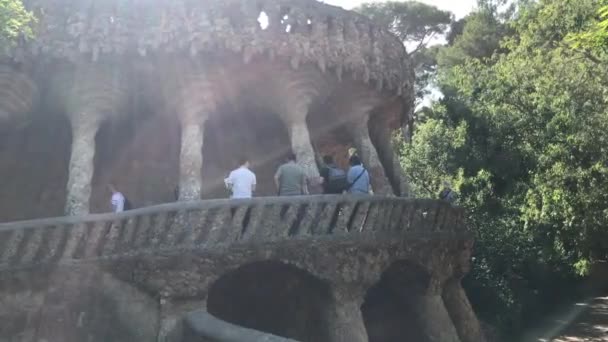 Barcelona, Spanien. 20 juni 2019: Närbild på djur — Stockvideo