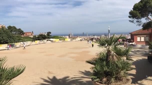 Barcelona, Spain. June 20 2019: A group of palm trees on a beach — Stock Video