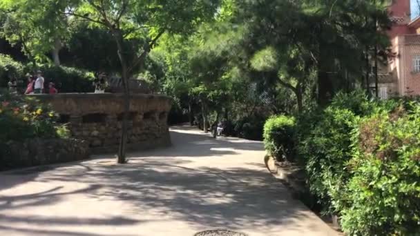 Barselona, İspanya. 20 Haziran 2019: Caddenin ortasında bir ağaç — Stok video
