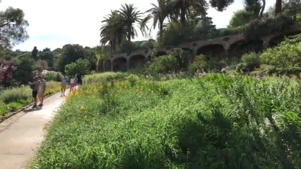 Barcelone, Espagne. 20 juin 2019 : Un groupe de palmiers sur le bord d'une route — Video