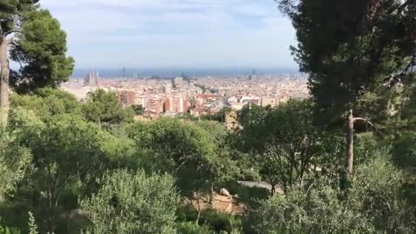 Barcelona, Spanien. Eine Pflanze im Garten — Stockvideo