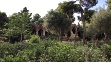 Barselona, İspanya, Ormandaki büyük bir ağaç