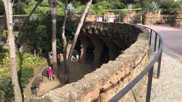 Barcelone, Espagne, 20 juin 2019, Gros plan sur un arbre — Video