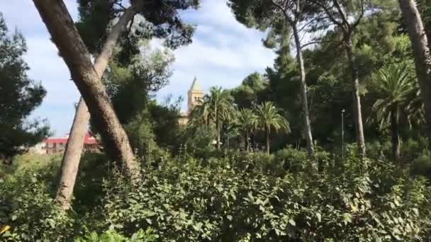 Barcelona, Espanha, Um grupo de palmeiras ao lado de uma árvore — Vídeo de Stock