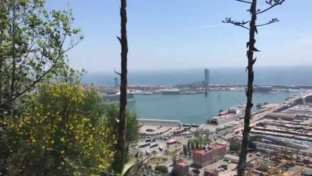 Barcelona, Spanje. Uitzicht op een stad naast een boom — Stockvideo