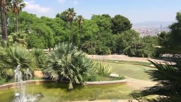 スペインのバルセロナ。川の隣の木 — ストック動画