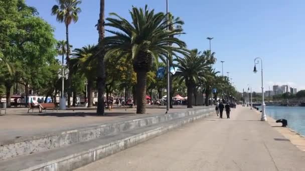 Barcelona, Spanyolország. 2019. június 20.: Egy sor pálmafa a járdán — Stock videók