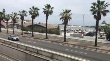 Barselona, İspanya. Sokakta bir palmiye ağacı