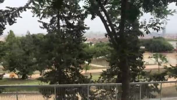 Barcelone, Espagne. Un arbre devant une clôture — Video