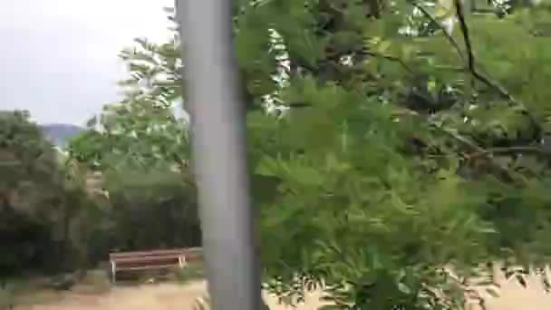 Barcelona, Spanje. Een bord op de zijkant van een boom — Stockvideo