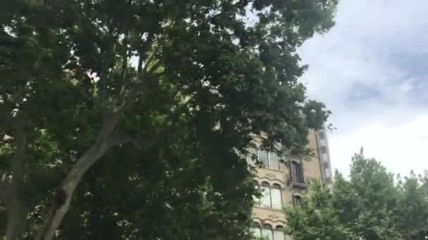 Barcelona, Spanien. Ein Straßenschild neben einem Baum — Stockvideo