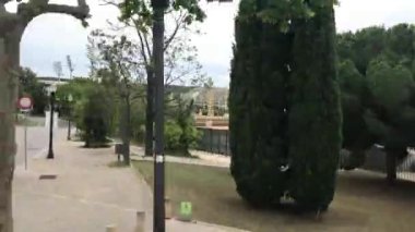 Barselona, İspanya. Kaldırımda bir ağaç