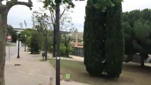 Barcelone, Espagne. Un arbre sur un trottoir — Video