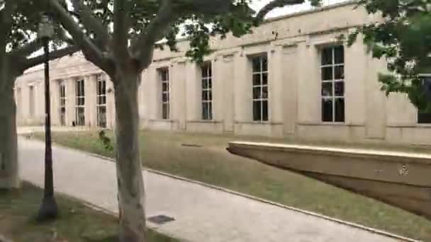 Barcellona, Spagna. Un albero in un parco — Video Stock