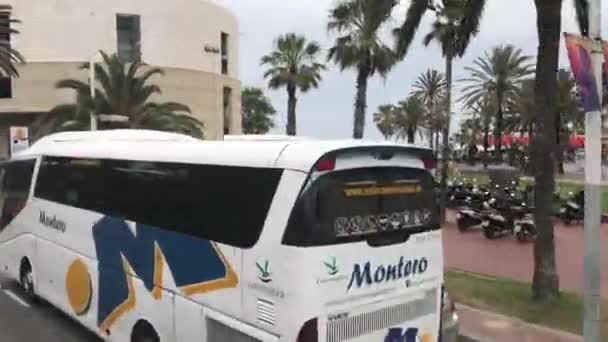 Barcelona, Spanien. 20 juni 2019: En vit buss kör nerför en gata intill ett palmträd — Stockvideo
