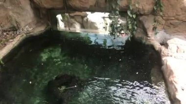 Barselona, İspanya, Kayanın yanındaki Su