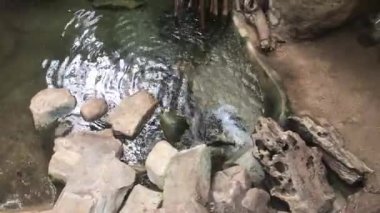 Barselona, İspanya, Bir kayaya yakın çekim