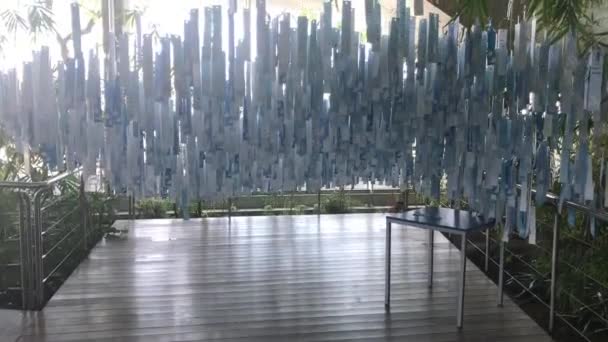 Barcelona, España, Un árbol bajo la lluvia — Vídeo de stock