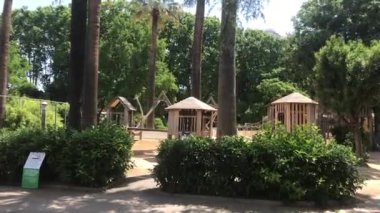 Barselona, İspanya, Bir evin önündeki ağaç