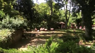 Barselona, İspanya, Arkasında ağaçlar olan bir ev