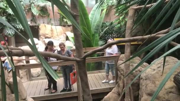 Barcelona, España, 20 de junio de 2019: Un grupo de personas sentadas en un zoológico — Vídeos de Stock