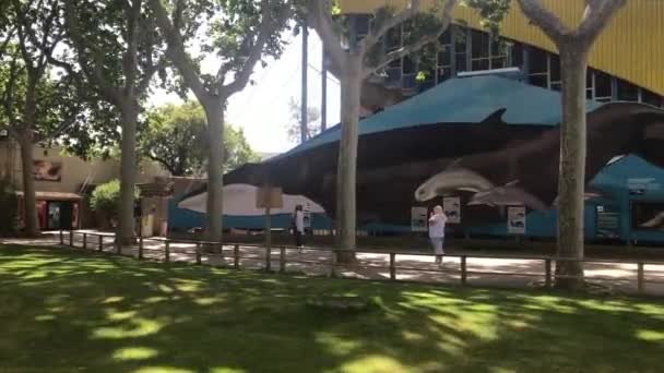 Barcelone, Espagne, Un groupe de chaises longues assis sur le dessus d'un bâtiment — Video