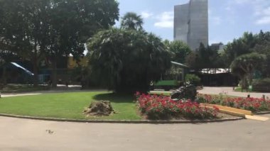Barselona, İspanya, Binanın önündeki bir ağaç