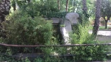 Barselona, İspanya, Ormandaki ağaçlı bir bahçe