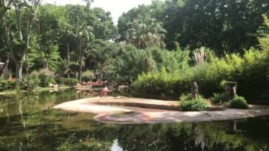 Barselona, İspanya, Bir su kütlesinin yanında bir ağaç