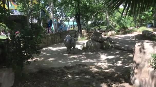 Barcelona, Spanien, Eine Gruppe Männer steht neben einem Baum — Stockvideo