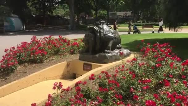Barcelona, Spanien, En närbild av en blomsterträdgård — Stockvideo