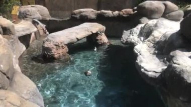 Barselona, İspanya, Büyük bir kayaya yakın çekim