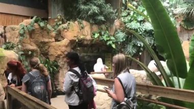 Barselona, İspanya, 20 Haziran 2019: Bir bankta oturan bir grup insan