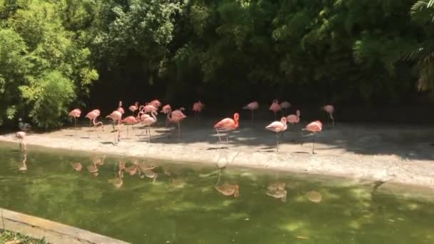 Barcelone, Espagne, Un groupe de personnes nageant dans un plan d'eau