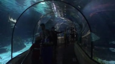 Barselona, İspanya, Bir dikiz aynasına yakın çekim