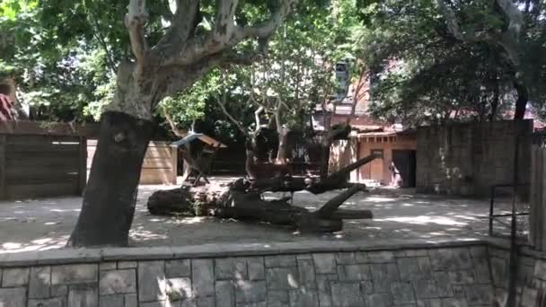 西班牙巴塞罗那，一个人坐在一棵树前的长椅上 — 图库视频影像