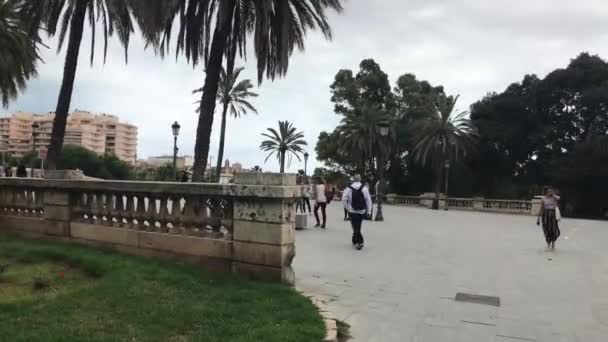 Valencia, Spanje, 22 juni 2019: Een groep mensen loopt voor een palmboom — Stockvideo