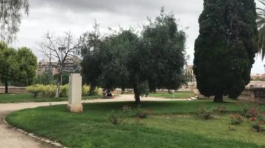 Valencia, İspanya, Bir ağacın önündeki işaret