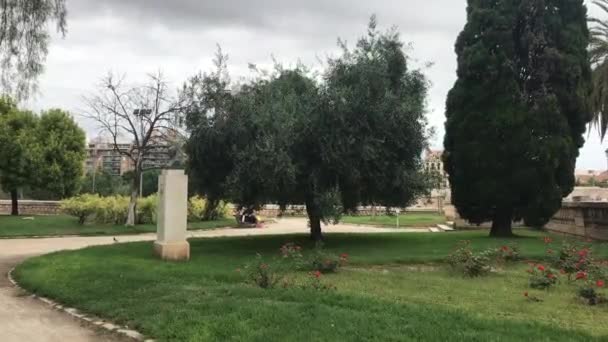 Valencia, Spanien, En skylt framför ett träd — Stockvideo