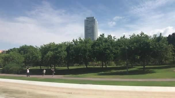 Valencia, Spanyol, Sebuah pesawat jet besar duduk di atas rumput tertutup lapangan — Stok Video
