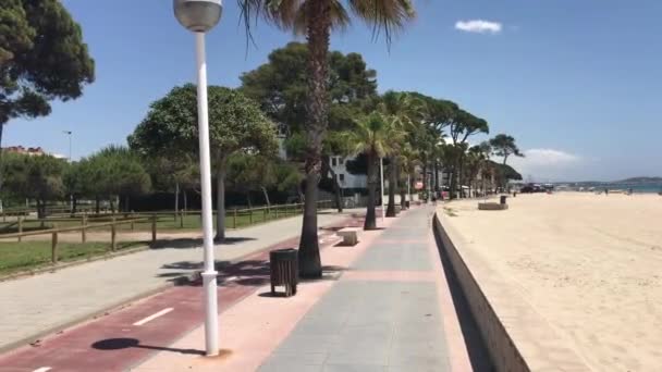 Cambrils, Espanha, Uma rua forrada com palmeiras — Vídeo de Stock