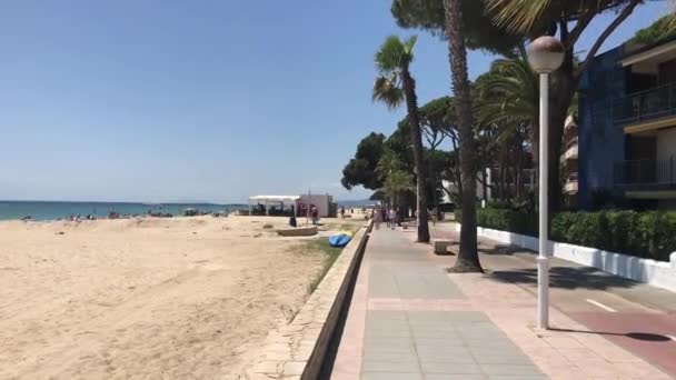 Cambrils, Španělsko, zblízka prázdný chodník před palmou — Stock video