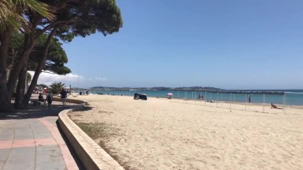 Cambrils, España, 25 de junio de 2019: Un grupo de palmeras en una playa — Vídeos de Stock