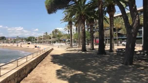 Cambrils, Espagne, Un banc de parc vide à côté d'un palmier — Video