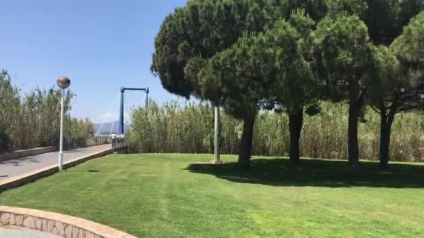Cambrils, Espanha, Uma árvore em um parque — Vídeo de Stock