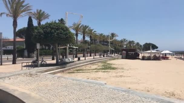 Cambrils, Spanien, Eine Palme auf einer Straße — Stockvideo